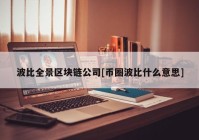 波比全景区块链公司[币圈波比什么意思]