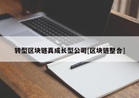 转型区块链真成长型公司[区块链整合]