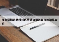 海南蓝标网络科技区块链公司怎么样的简单介绍